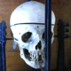 Measuring device for skull