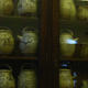 Ceramiche in uso ai detenuti lombrosiani