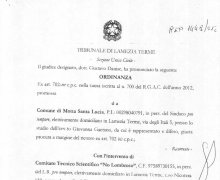 Ordinanza del Tribunale di Lamezia Terme