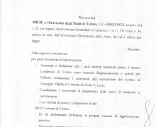 Ordinanaza del Tribunale di Lamezia terme