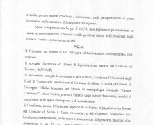 Ordinanza del Tribunale di Lamezia Terme